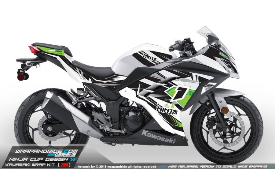 kawasaki ninja 300 wraps